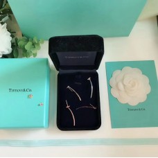 Tiffany T – boucles d'oreilles avec pendentif en fil d'argent 925 pour femme, motif T, or Rose/argent, cadeau de saint valentin Tiffany T – boucles d'oreilles avec pendentif en fil d'argent 925 pour femme, motif T, or Rose/argent, cadeau de saint valentin