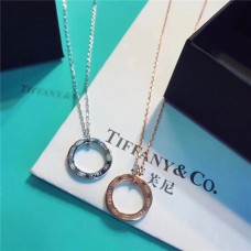 Tiffany 1837 Cercle Pendentif Collier Bijoux Amérique